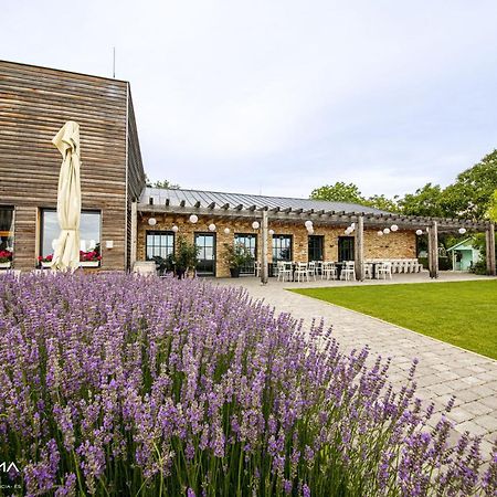 مبيت وإفطار Győrújbarát Panorama Birtok - Wellness Panzio, Konferencia Es Rendezvenykoezpont المظهر الخارجي الصورة